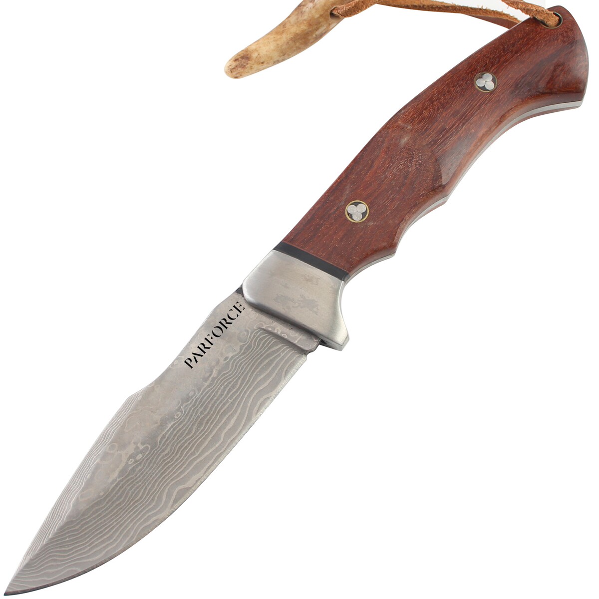 Damastmesser Rotmilan