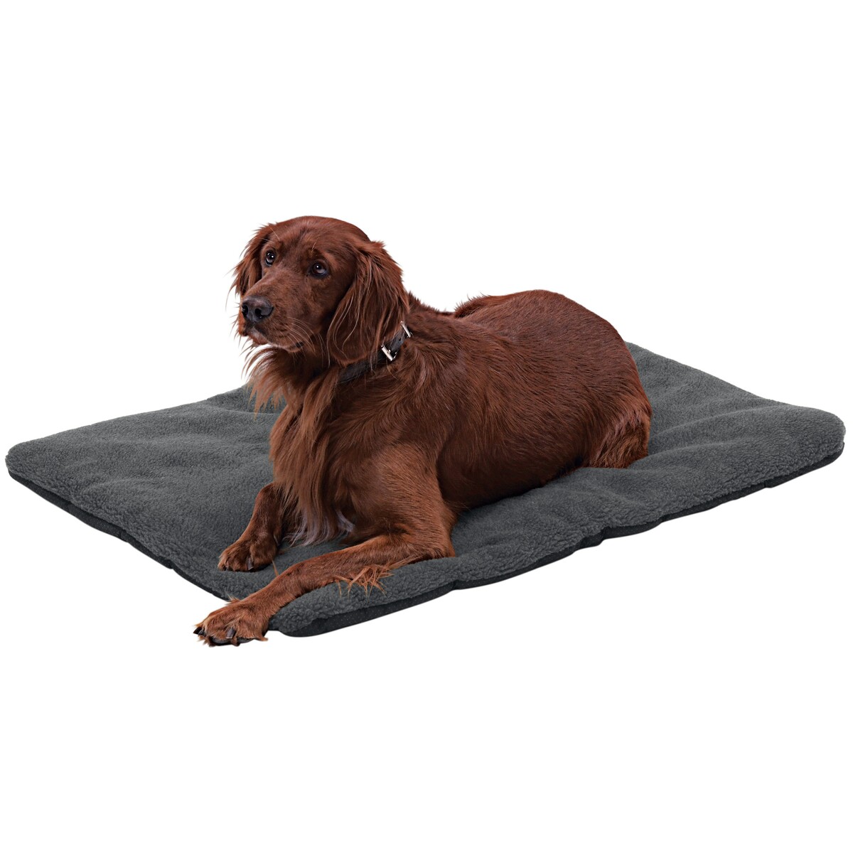 Hundedecke