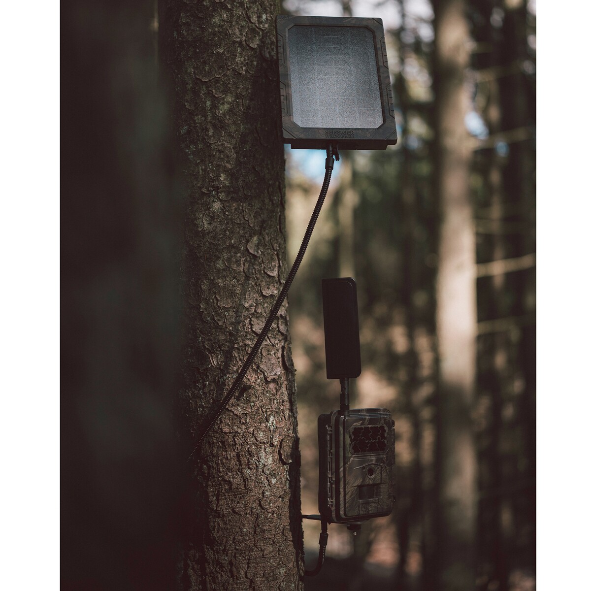Solarpanel für Wildkameras
