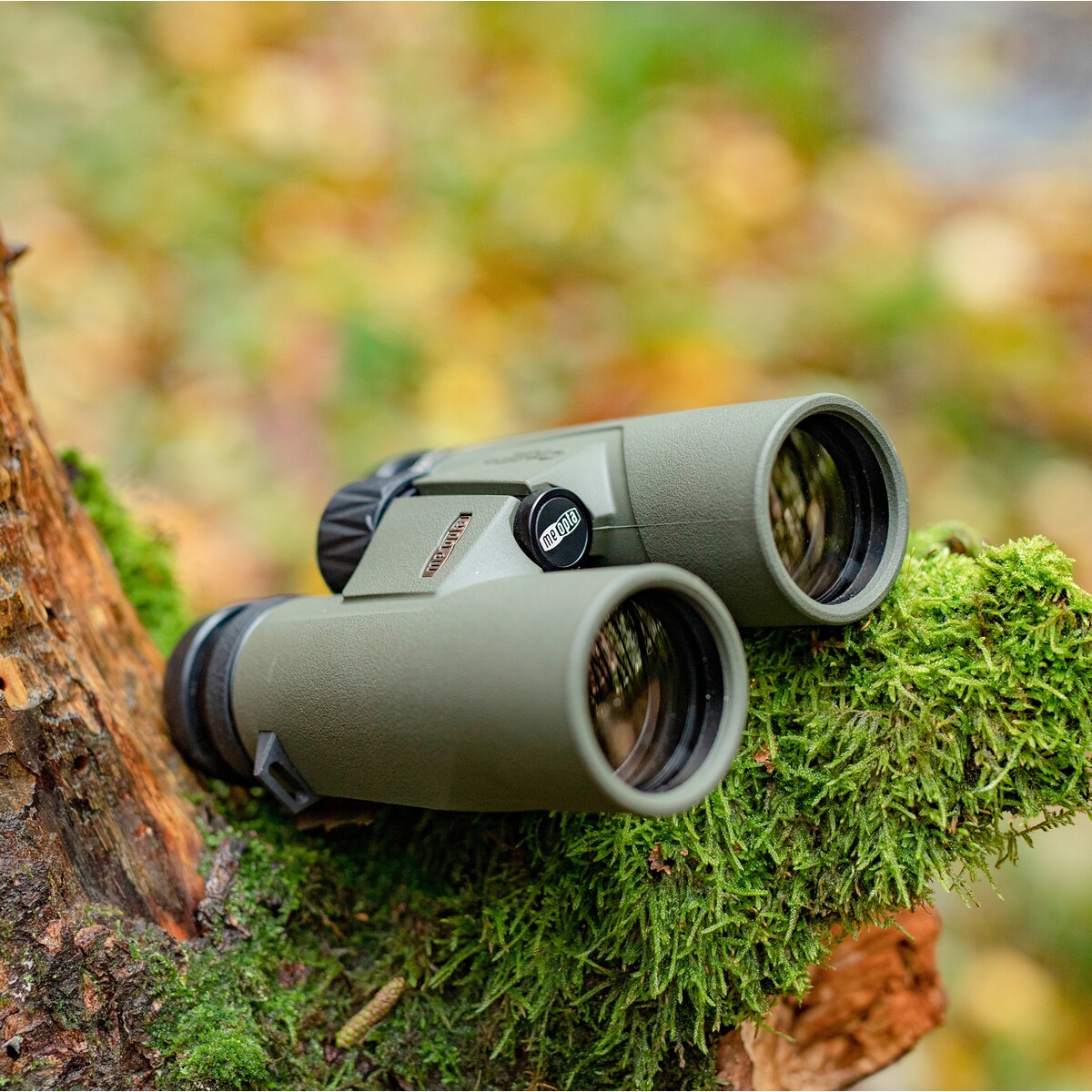 Fernglas MeoPro Optika HD 10x42