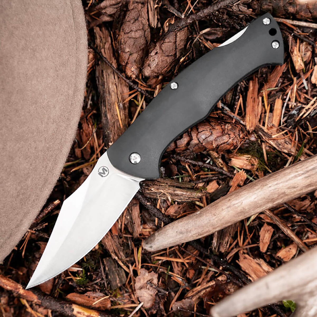 Klappmesser Echidna