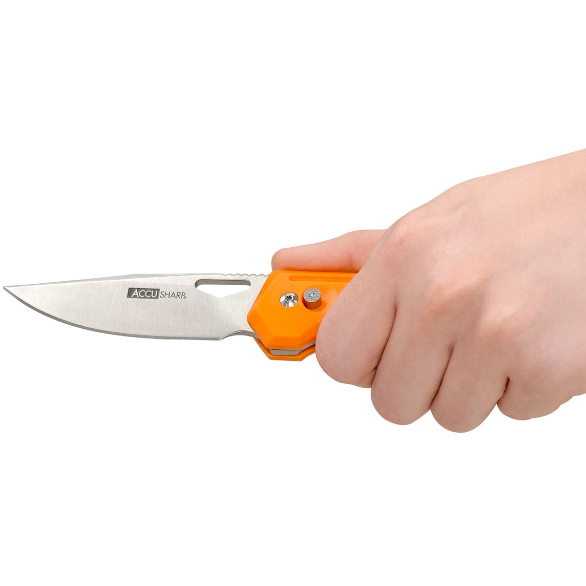 Klappmesser Flip Blade Hunter Knife