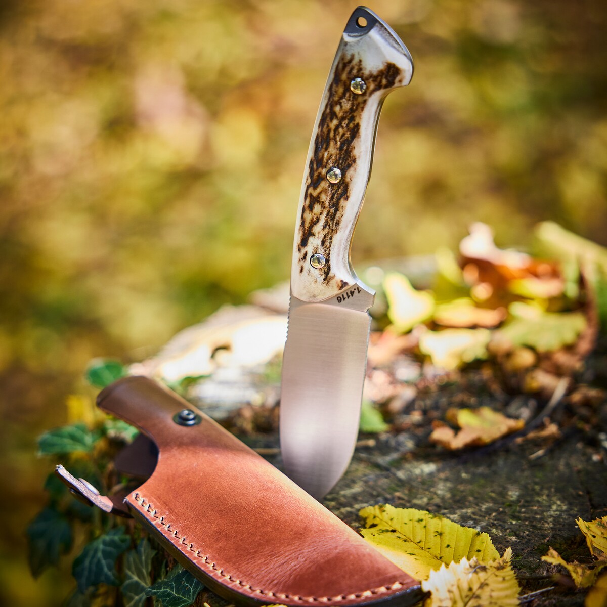 Jagdmesser Cervus