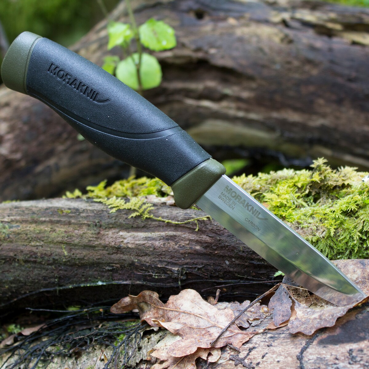 Messer Companion schwarz