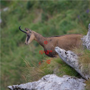 GPO RANGETRACKER™ 2000 6x20 OLED Laser-Entfernungsmesser