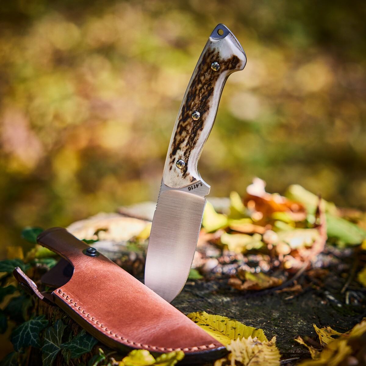 Jagdmesser Cervus