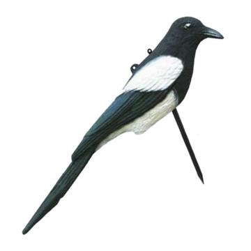 Lockvogel Elster