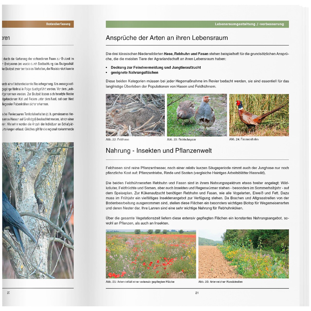 Buch: Handbuch für die Niederwildhege
