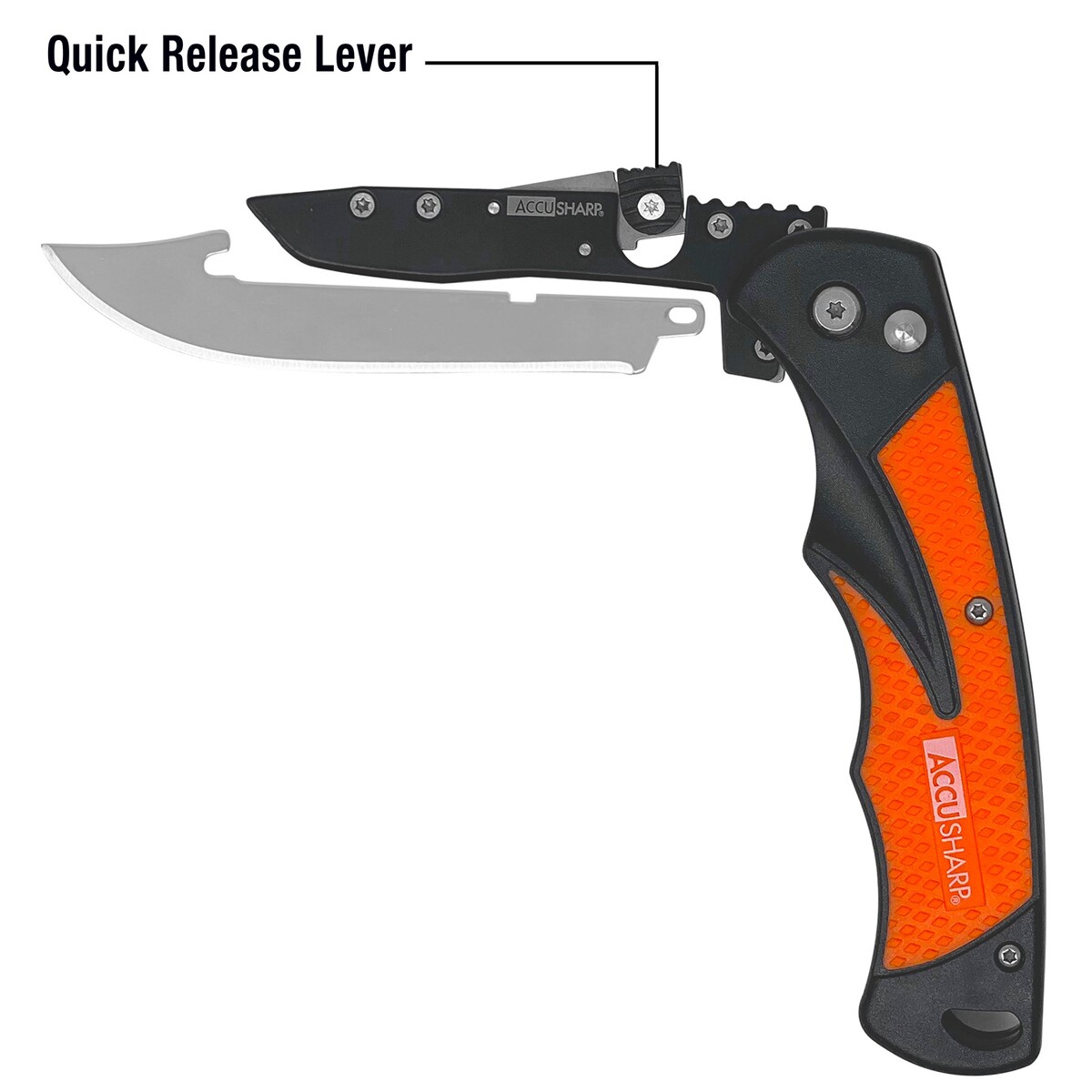 Klappmesser RAZOR