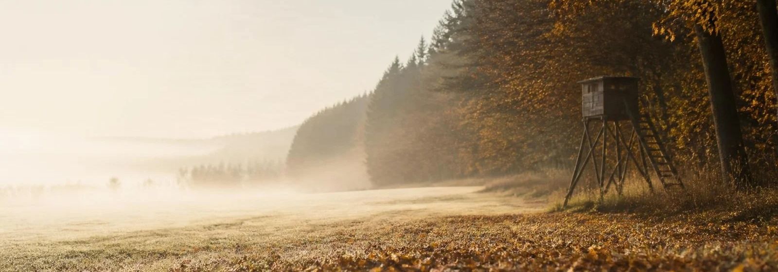 Hochsitz am herbstlichen Waldrand im Morgennebel